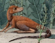 Kongonaphon kely fue un diminuto antecesor de los dinosaurios que era más pequeño que un teléfono celular. AP / ARCHIVO