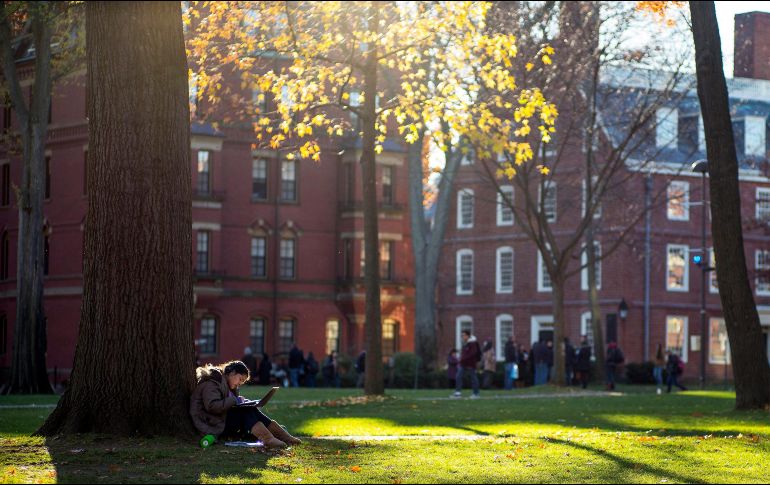 Según el Departamento de Seguridad Nacional, del cual ICE es una dependencia, hay en EU aproximadamente 1.1 millones de estudiantes extranjeros con visas F-1 y M-1. EFE / ARCHIVO