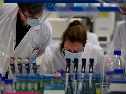 La nueva etapa consistirá en una prueba controlada con dosis de un fármaco y de un placebo. AP/V. Mayo