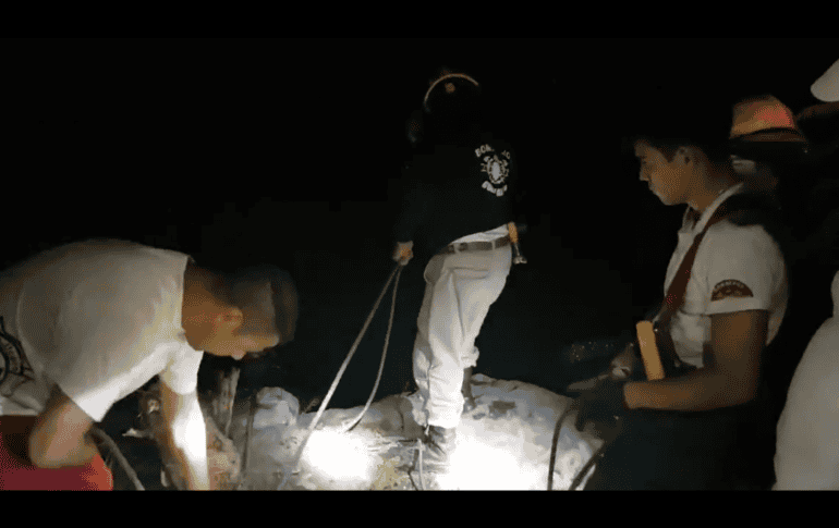 Debido a la profundidad del barranco, la Policía solicitó el apoyo de Bomberos y Protección Civil de Guadalajara para proceder al rescate. TWITTER/@PCYBOMGDL