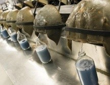 Un litro de sangre de estos cangrejos se vende por US$15.000  GETTY IMAGES