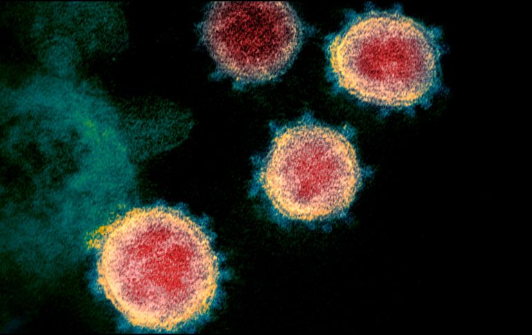 Investigadores alrededor del mundo estudian actualmente las características de ómicron, que se notificó a la Organización Mundial de la Salud apenas el pasado 24 de noviembre. AFP/NIH/ARCHIVO