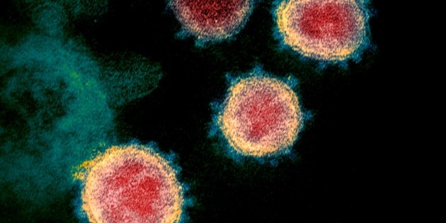 Coronavirus: Prueban medicamento que elimina transmisi&oacute;n