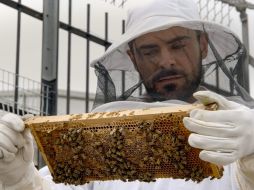 Estrenos de fin de semana para quedarse en casa