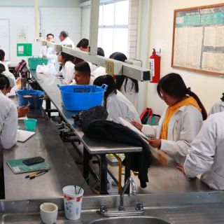 Padres prevén cambiar a sus hijos de escuelas privadas a públicas