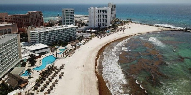 La Semar alerta por llegada masiva de sargazo a Yucat&aacute;n