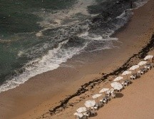 Cada año hay ahogamientos en la playa Palm debido a sus fuertes corrientes, aguas espumosas y costa rocosa. AP/M. Alleruzzo