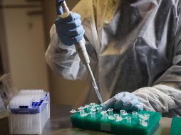 La vacuna BNT162b1 es capaz de generar una respuesta de anticuerpos neutralizantes a niveles mayores o iguales a los observados en sueros convalecientes. EFE/F. Anfitti