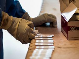 Pfizer y su socia BioNTech detallan que se espera que en las pruebas participen unas 30 mil personas. AFP / S. Panthaky