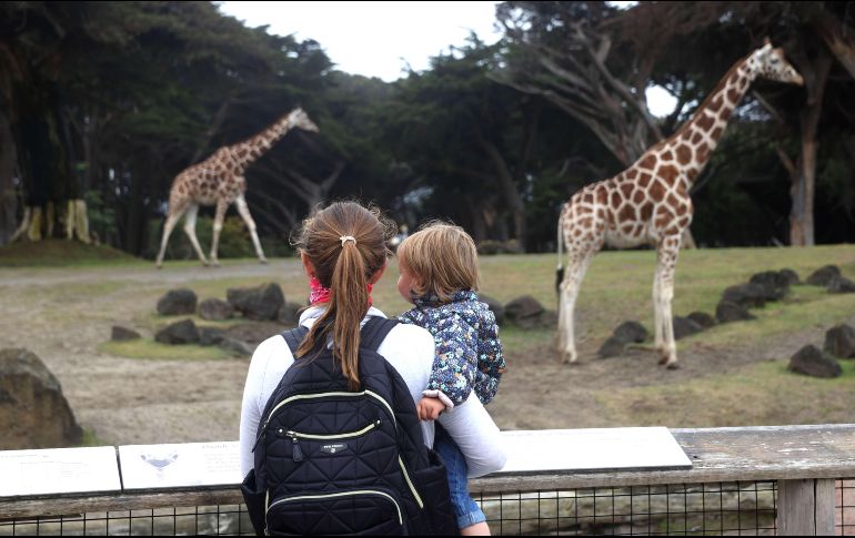 Los zoológicos, que acaban de reabrir de forma limitada, también entran en la lista de sitios que deberán cerrar. AFP/J. Sullivan