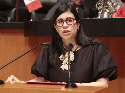 En el Senado, Rubio Márquez presidía la Comisión de Relaciones Exteriores América Latina y el Caribe. NTX/ARCHIVO