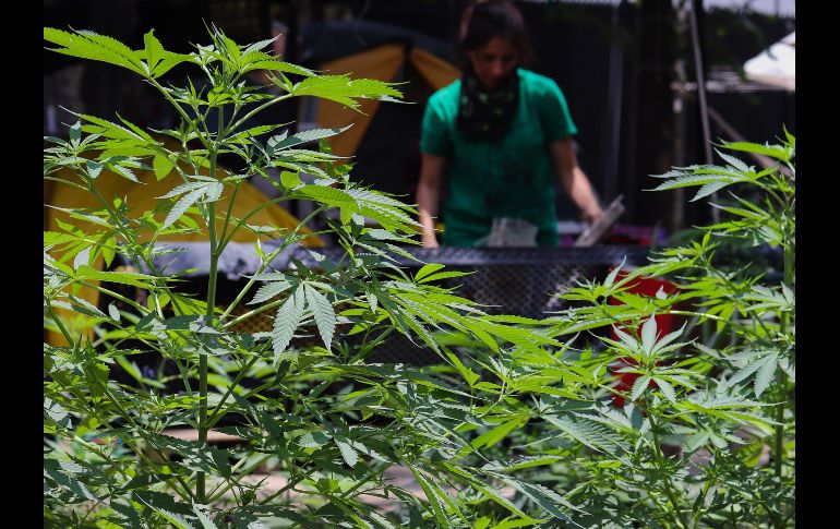 EFE/J. Pazos EFE/J. Pazos