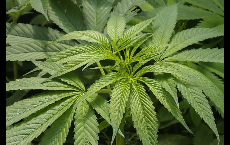 EFE/J. Pazos EFE/J. Pazos