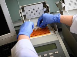 Varios miembros del sindicato de jugadores han manifestado que no volverán a competir hasta tener plenas garantías de seguridad. EFE/F. Villar