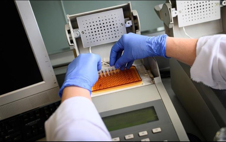 Varios miembros del sindicato de jugadores han manifestado que no volverán a competir hasta tener plenas garantías de seguridad. EFE/F. Villar