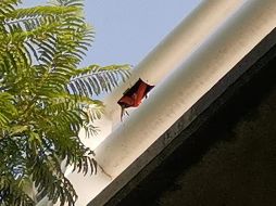 Los policías detectaron que había un registro abierto en el puente, el cual presentaba daños. ESPECIAL