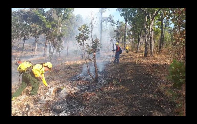 Detallan que las llamas afectaron una superficie de 292 mil 054 hectáreas, en su mayoría pastos y matorrales. TWITTER/@CONAFOR