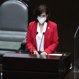 Lozoya, un "circo" para ocultar malestar por pandemia: PRD