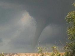 La tormenta se dirigió hacia el sur de Guadalajara, donde derribó al menos 13 árboles. ESPECIAL