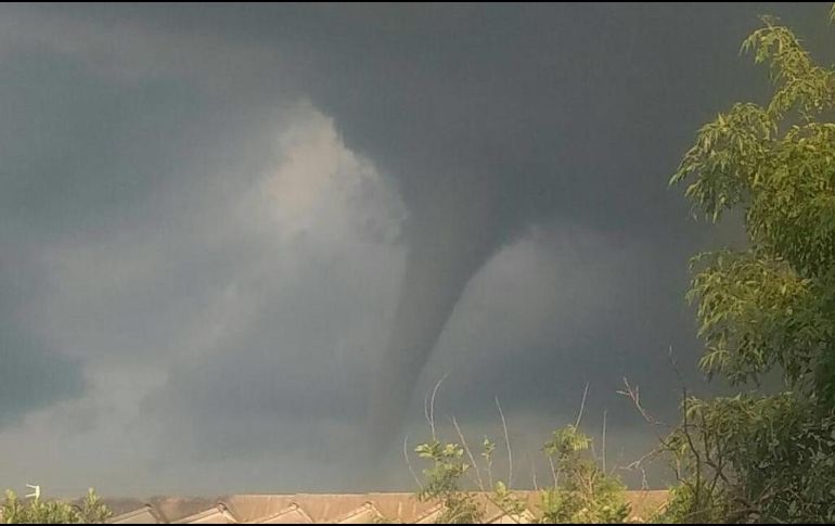 La tormenta se dirigió hacia el sur de Guadalajara, donde derribó al menos 13 árboles. ESPECIAL