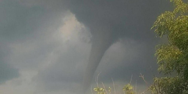 Connato de tornado y 14 &aacute;rboles ca&iacute;dos tras tormenta