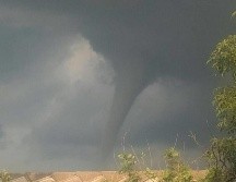 La tormenta se dirigió hacia el sur de Guadalajara, donde derribó al menos 13 árboles. ESPECIAL