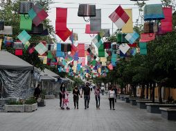 Andador 20 de Noviembre registra pérdidas por 23.1 MDP debido al coronavirus