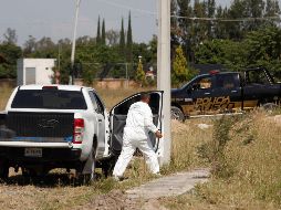 Jalisco es primer lugar nacional en hallazgo de cuerpos en fosas clandestinas. ARCHIVO