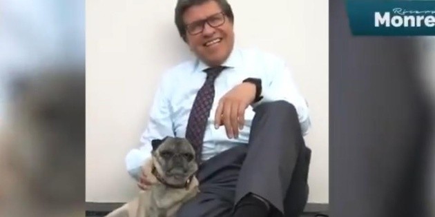 Monreal pasea a perros en el Senado para celebrar su d&iacute;a