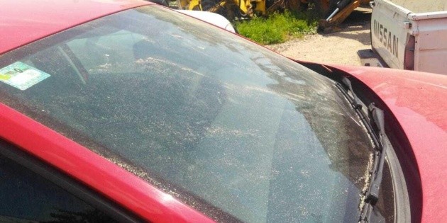 Cae ceniza del Popocat&eacute;petl en seis municipios de Morelos