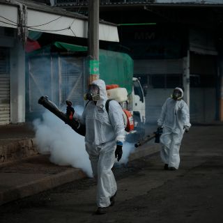 Casos de dengue doblan los del año pasado