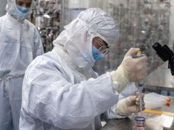 Un tipo de glóbulos blancos podrían ser cruciales en nuestra lucha contra covid-19. GETTY IMAGES