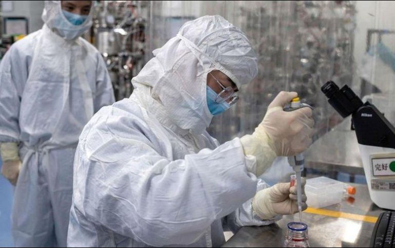 Un tipo de glóbulos blancos podrían ser cruciales en nuestra lucha contra covid-19. GETTY IMAGES