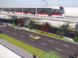 La integración de plantas es parte de su Plan de manejo de Arbolado del Gobierno de Jalisco. ESPECIAL