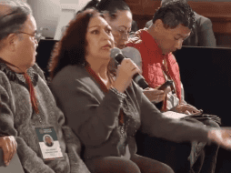 Arvide  ha generado polémica con sus intervenciones en las conferencias matutinas del Presidente. ESPECIAL