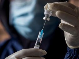 Las primeras conclusiones sobre si la vacuna es apta para su producción en masa podrían llegar en unos tres meses. EFE/ARCHIVO