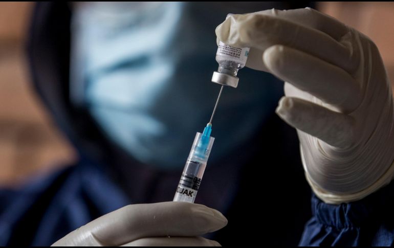 Las primeras conclusiones sobre si la vacuna es apta para su producción en masa podrían llegar en unos tres meses. EFE/ARCHIVO