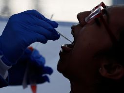 Las pruebas pueden ser individuales o a un grupo de máximo 15 personas. AP/ARCHIVO