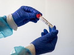 Las pruebas de COVID-19 podrán ayudar al Gobierno Británico. EFE