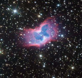 Captan Nitidas Imagenes De Una Mariposa Espacial El Informador