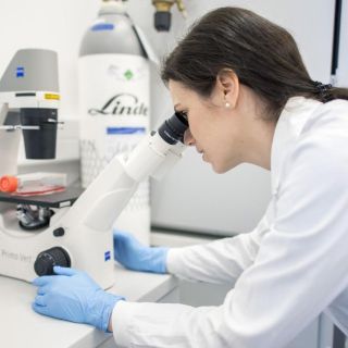 Estudian tratamiento con células madre contra COVID-19