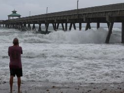 Los fuertes vientos han dejado ya sin servicio eléctrico a mil 500 clientes del sureste de Florida. AFP / J. Raedle
