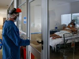 La mayoría de los contagios en Jalisco (30%) ha ocurrido en adultos jóvenes. EFE/J. Roncoroni