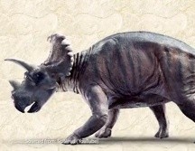 Este herbívoro con cuernos vivió hace 76 a 77 millones de años. Este herbívoro con cuernos vivió hace 76 a 77 millones de años. ESPECIAL / McMaster University