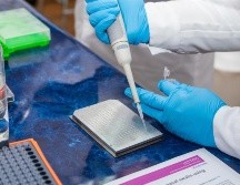 Fueron 21 las personas que se presentaron inicialmente como positivas para la COVID-19 y sin síntomas, pero terminaron teniendo síntomas. EFE/Universidad de Talca