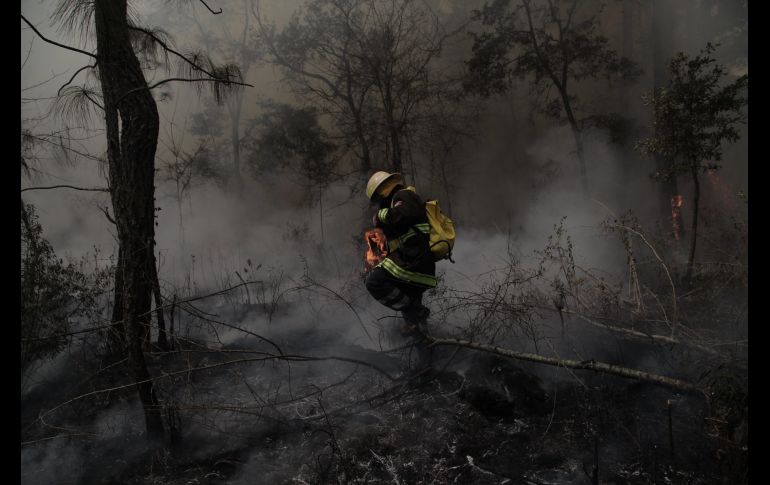 Durante la temporada de estiaje 2020, se presentaron 616 incendios forestales afectando una superficie de 29 mil 899.22 hectáreas. ESPECIAL/Semadet
