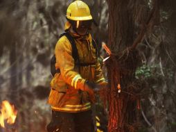 El fuego ya destruyó más de 100 hectáreas de pastos naturales, eucaliptos y pinos. EFE/ARCHIVO
