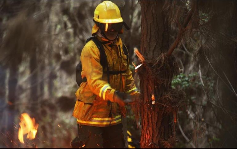 El fuego ya destruyó más de 100 hectáreas de pastos naturales, eucaliptos y pinos. EFE/ARCHIVO