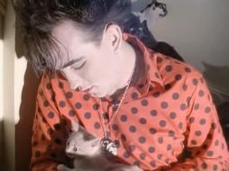 Los gatos han estado presentes en diferentes géneros musicales. ESPECIAL