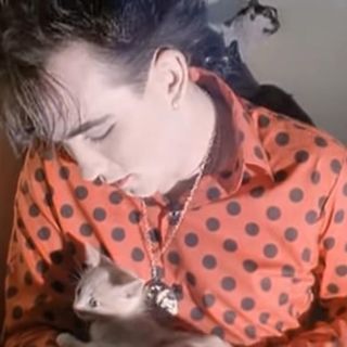 Gatos, inspiración de artistas como The Cure y Luis Miguel